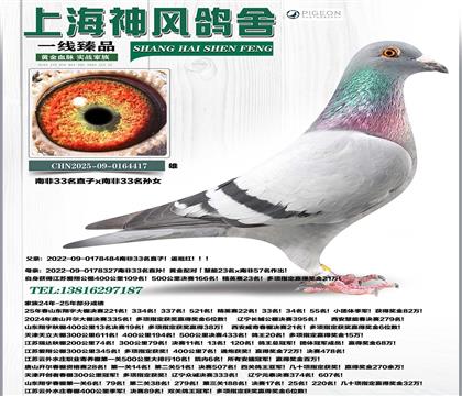 �Ϸ�33��ֱ��xֱ�OŮ