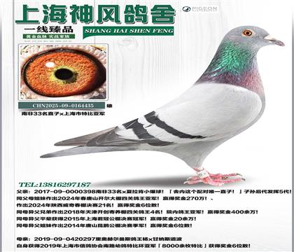 �Ϸ�33���^��ֱ��x�Ϻ����رȁ�܊