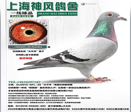 �ʼ{˹������̫ƽ��ֱ��