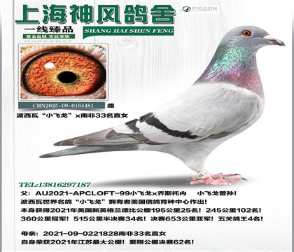 С�w��±ȹ��܊x�Ϸ�33��ֱŮ