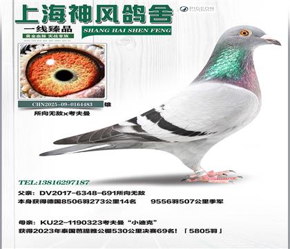 ��(gu��)9556��܊x������69��