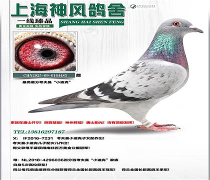 ������С�Ͽ�ֱ�Ox���������m����