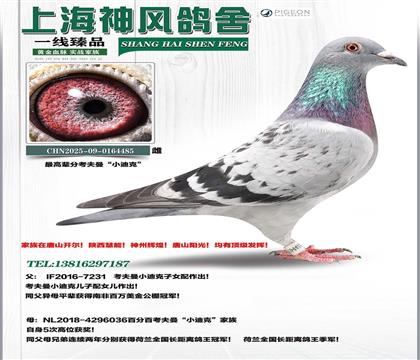 ������С�Ͽ�ֱ�Ox���������m����