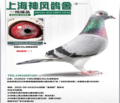 ���Ұ�����37��x���ҽ��ؙ�