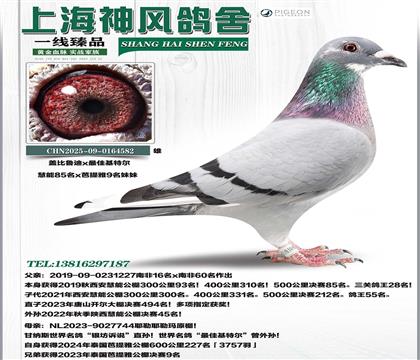 ����85��x��ѻ��ؠ�������9������