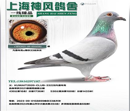 ���ǲ���x�Ϸ�33�O�_��494��