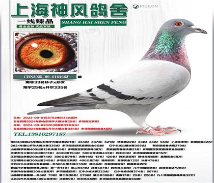 �Ϸ�33�O����25��x�Ϸ�33�OŮ�_��335��