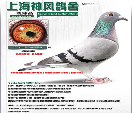 �����ҽ��ؙ�x��OŮ������������܊