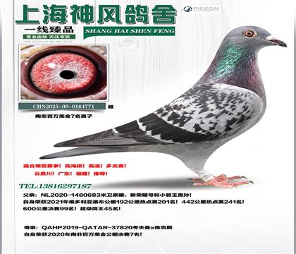 �Ϸǰ��f(w��n)����7��ֱ��