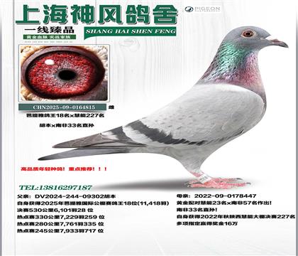 ��������������18��x�Ϸ�33�OŮ����227��