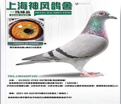 ����˹����˹x�Ϸ�33��ֱŮ