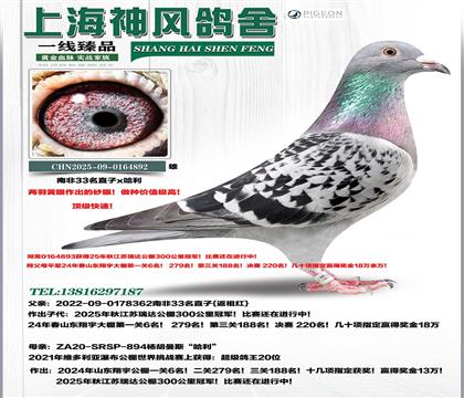 �Ϸ�33ֱ�O�����_(d��)��܊ͬ�C