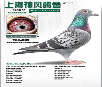 ��������(gu��)ȫ��(gu��)����11��x�ʼ{˹����������܊