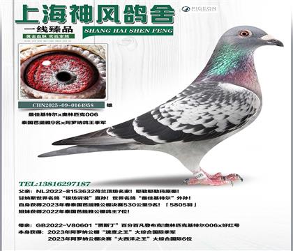 ��ѻ��ؠ�������9��x�W��ƥ��006���_�{��܊