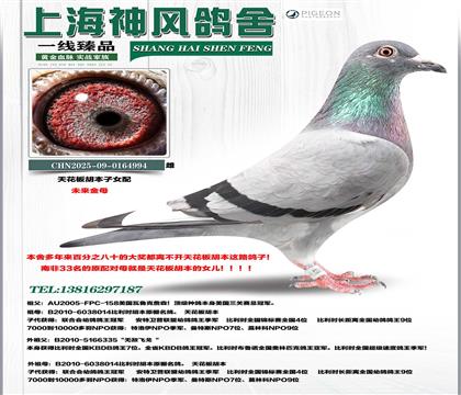 �^̖(h��o)�����N�ơ��컨�塱������Ѫ