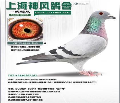 �Ϸ�33�O����19��x����������6��