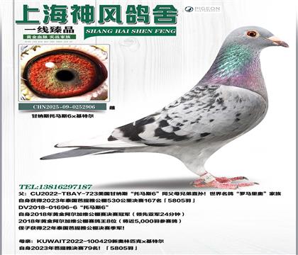 �_�R��W���R˹6x���ؠ�