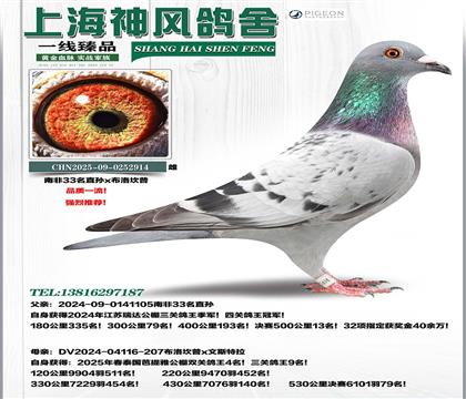 �Ϸ�33�O���_(d��)������܊x����������4��