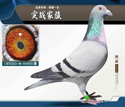 ȫ�ܿ���ϵ-��ƿ�X��ĸ����6