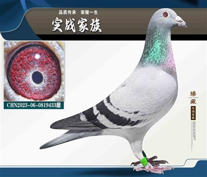 ��ĸë�_����6