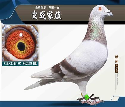 �˵�����˹740X����6