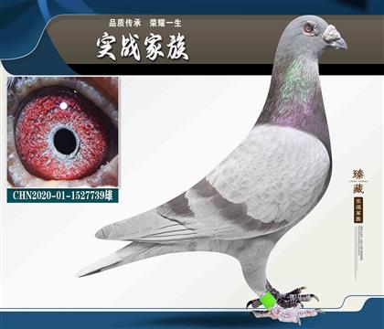 �ش�� �˵�����˹��740��