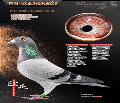 ��X���R��926X767