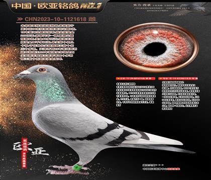 ��X���ƷN��614Xɣ��ʿ061�S���䌦(du��)