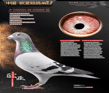 ��XXɣ��ʿֱ��989Xɣ��ʿ682��ĸ29��