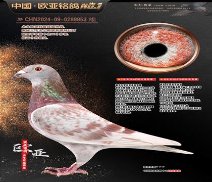 �Ͽ�.���ǲ���Ѫ�y(t��ng)���ؠ�233X260����(j��)�䌦(du��)