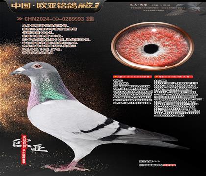 �w��ԭ����?sh��)�ֱ�?83X��?sh��)�ֱ�?99