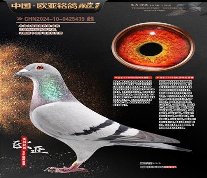 �w��.���¼{��ԭ��490X646