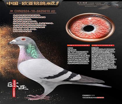 �w��ԭ����?sh��)�ֱ�?83X��?sh��)�ֱ�?99