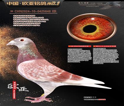 �Ͽ˷��ǲ���ԭ�����E̖(h��o)362X40000̖(h��o)435