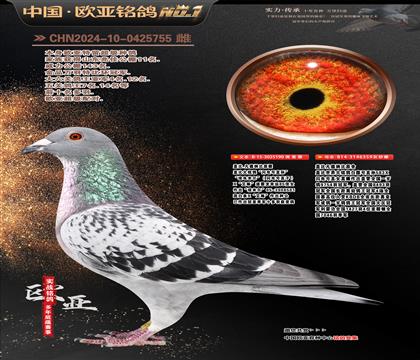 �w��ԭ���W�̖(h��o)ֱ�O190X�ʼһ�ֱŮ359