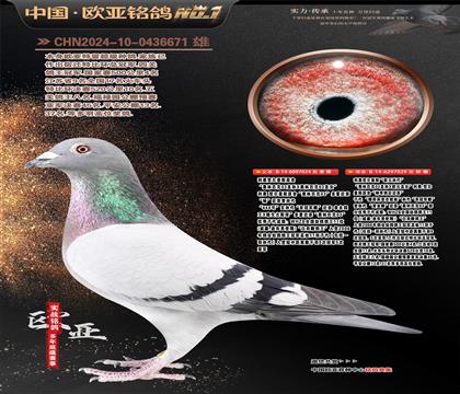 ���Wԭ��03���H��444̖(h��o)���ҹ�܊X�WԪ�O��