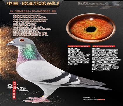 �w��.���¼{��ԭ��998X199