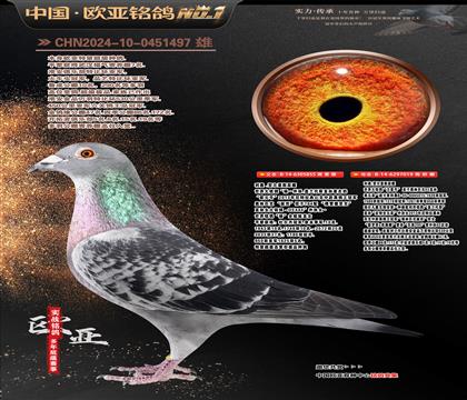 ���Wԭ�����O855X�Ͽ������W����̖(h��o)019