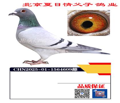 �����к�X�ՠ�÷˹ 4609