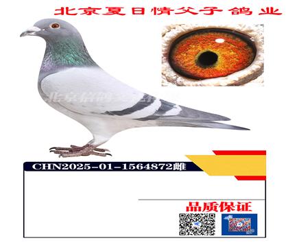 �w��X�ՠ�÷˹4872