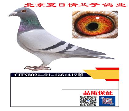 �ՠ�÷˹Xë��1417