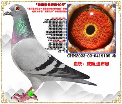 �����c(di��n)���]������.�ϲ�����ī�ƶ���ֱ�ӡ�ī�ƶ���ȫ�ֵ�ֱŮ��