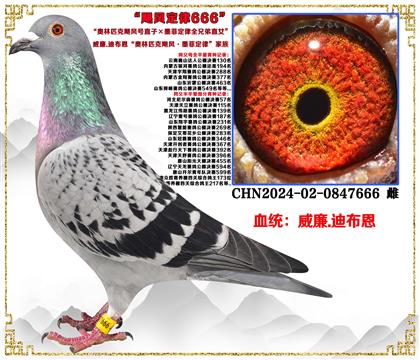 ����.�ϲ������W��ƥ���Z�L(f��ng)̖(h��o)ֱ�ӡ�ī�ƶ���ȫ�ֵ�ֱŮ��