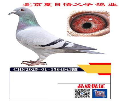 �ٰ���Xɣ��ʿX�ՠ�÷˹4943