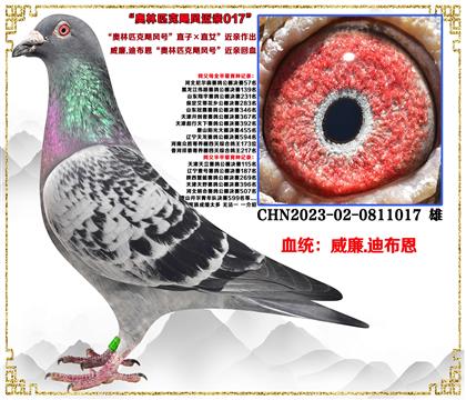 �����c(di��n)���]������.�ϲ������W��ƥ���Z�L(f��ng)̖(h��o)��ֱ�ӡ�ֱŮ�����H