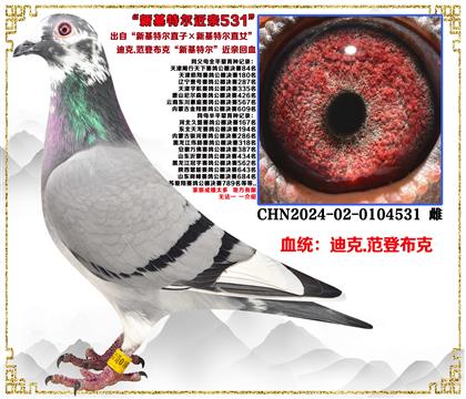 �����c(di��n)���]���Ͽ�.���ǲ��ˡ��»��ؠ�ֱ�ӡ��»��ؠ�ֱŮ����Ѫ