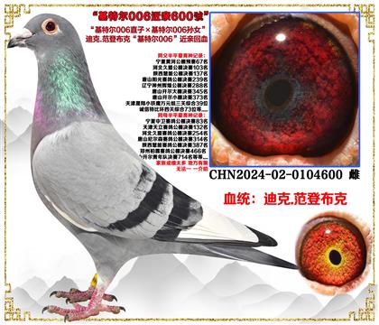 �����c(di��n)���]�����ǲ��ˡ����ؠ�006ֱ�ӡ����ؠ�006�OŮ��