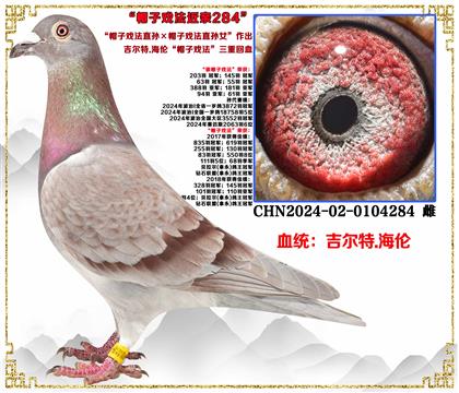 ������.���� ��ñ�ӑ򷨡���ֱ�O��ֱ�OŮ�����ػ�Ѫ