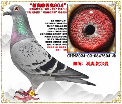 ���W.�W��ƥ��̖(h��o)��ֱ��X(ju��)ֱŮ�����H��Ѫ