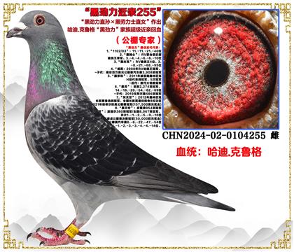 ����.�����񡰺ڄ���ֱ�O���ڄ���ʿֱŮ���ڄ������ؽ��H